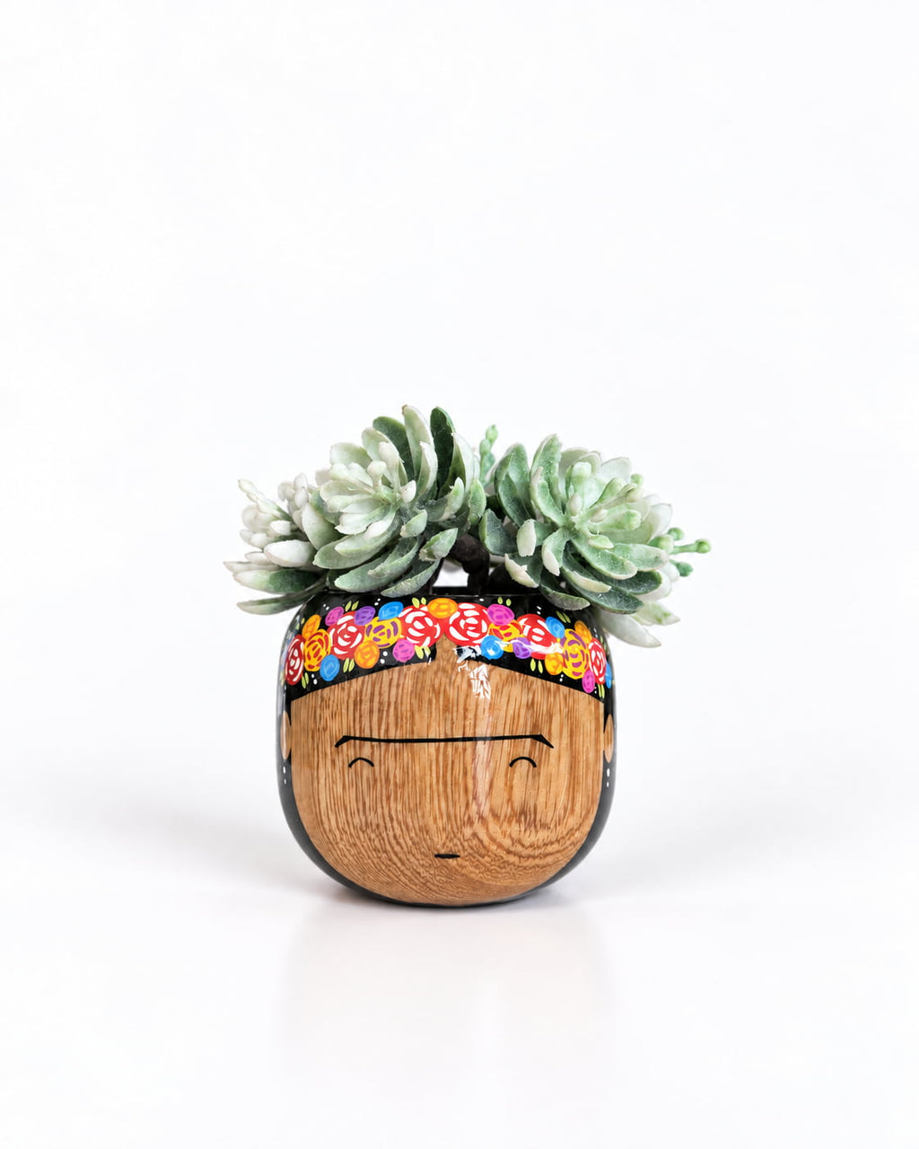 FridiPot Mini
