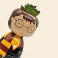 PotPotter
