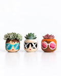 Colección Las WOW Mini
