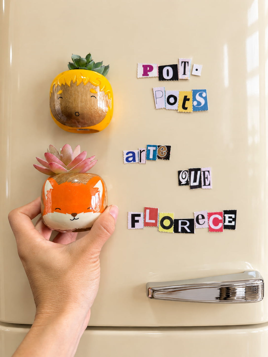 Colección El Principito