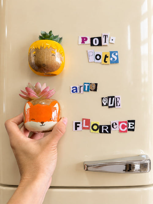 Colección El Principito