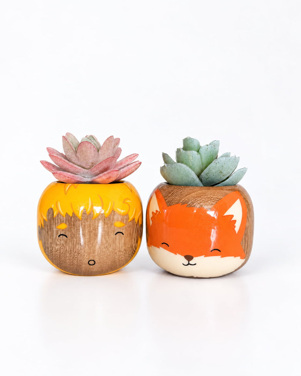 Colección El Principito