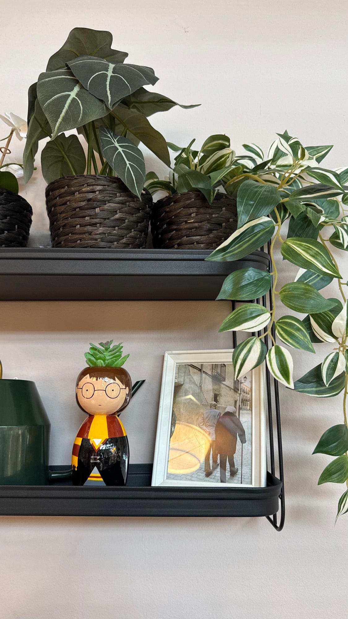 PotPotter