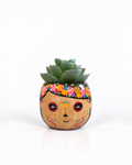Catrina Mini
